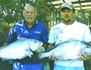 Burkie and Chris grabbed these large morwong from Rat Island.